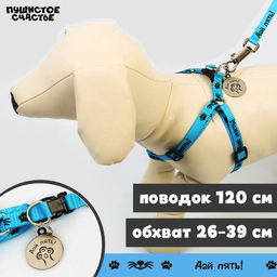 Комплект Дай пять!, шлейка 26-39 см, поводок 120х1 см, медальон