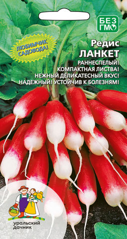 Редис ЛАНКЕТ Компактная листва и нежный, деликатесный вкус делают его любимчиком садоводов! Надёжный!