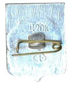 Значок Камышин