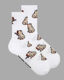 Носки р.40-45 TxT Капибара - Krumpy фото 8