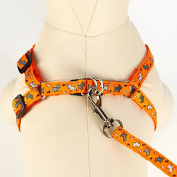 Комплект Собачки, поводок 120 х 1 см, ОГ 23-35 см, оранжевый - Пижон фото 4