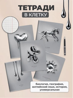 Комплект тетрадей 48 л. А5 кл./лин.ЖИДКИЙ МЕТАЛЛ Schoolformat - Buro фото 2