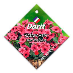 Катарантус Тату Малина 5шт. (Дарит)