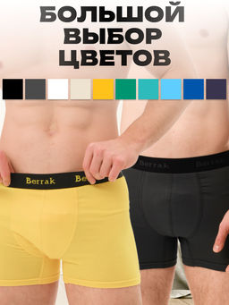 Мужские трусы Berrak 4476  фото 4