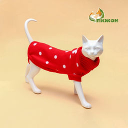 Свитер для животных Горошек, размер 16 (ДС 35-39, ОГ 38-50, ОШ 24-28 см), красный - Пижон фото 2