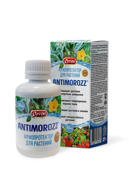 ОРТОН ANTIMOROZZ (Антимороз) 50 мл