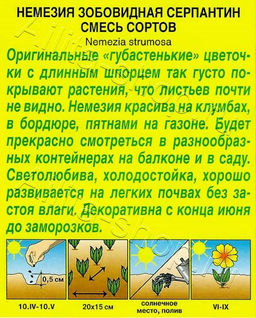 Немезия двухцветная Серпантин, смесь окрасок 0,05г (Аэлита)