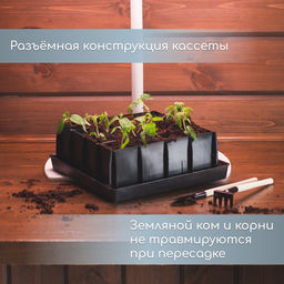 Набор для рассады: пластиковая вставки на 16 ячеек, по 130 мл, пластиковый чёрный поддон, 26.5×26.5×3 см