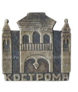 Значок Кострома