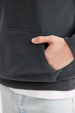 Базовая толстовка Comfort Fit с капюшоном - Defacto фото 9