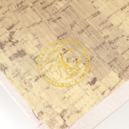 Шкатулка книга - сейф «Маленькие женщины. Луиза Мэй Олкотт», дерево, искусственная кожа, 21×13×5 см