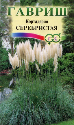Кортадерия Серебристая 8шт (г)
