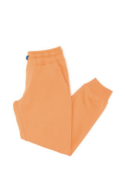 Оранжевые спортивные штаны для мальчика - U.s. polo assn фото 7