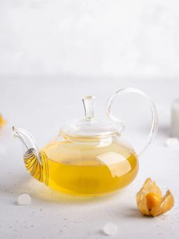 Чайник из жаропрочного стекла 600 мл Клюква - Слон фото 8