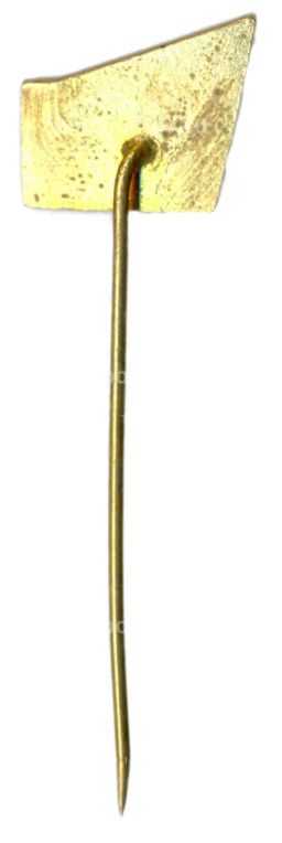 Значок рекламный RAMANTIK SNP