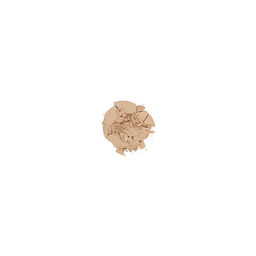Пудра для лица компактная шелковая Natural Silky Compact Powder, 01 полупрозрачный