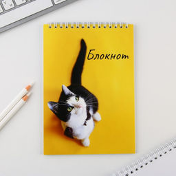 Блокнот А5 на гребне 40 л. Кот