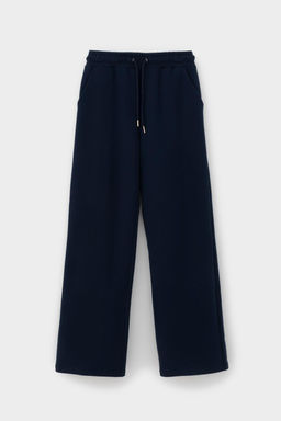 ЕВТ 4154/чернильный брюки жен