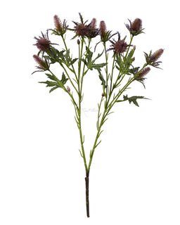 Эрингиум Супер Нова - Дымчато-лиловый - Real touch фото 2