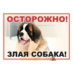 Табличка "Осторожно! Злая собака" ZS1147 А5 Зоосиндикат