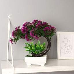 Бонсай в горшке «Селагинелла африканская», 10×20 см, МИКС