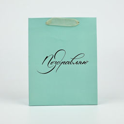 Цена за 2 шт. Пакет ламинированный «Поздравляю», MS 18×23×10 см