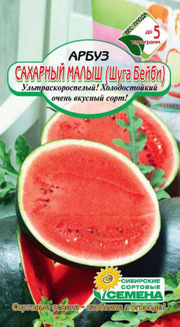 Сахарный Малыш (Шуга Бейби) арбуз 10шт (ссс) Р