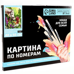 Картина по номерам на холсте с подрамником «Лошадка и девочка в поле», 40×50 см