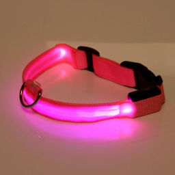 Ошейник с подсветкой и кольцом для жетона для малых пород собак "Бро видно", цвет розовый, размер S - 2,5*30см (лейбл)
