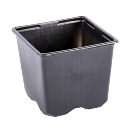 10шт. Горшок для рассады 0,31л 8х8х7см (полистирол)