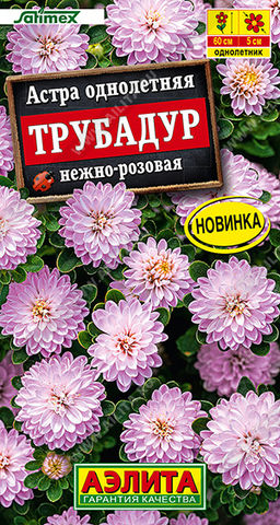Астра Трубадур нежно-розовая