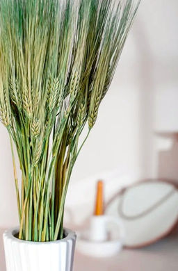 Ячмень натуральный, пучок 100г, 60 колосьев, h 60-70см