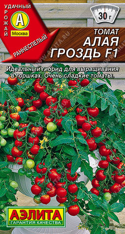 0888A Томат Алая гроздь F1 10шт