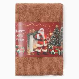 Набор махровых полотенец Этель. Санта, 30?30 см - 3 шт., хлопок 100%