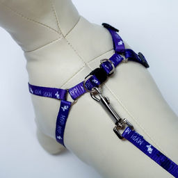 Комплект Мур! Мур!, шлейка 24-34х1 см, поводок 120 см - Пушистое счастье фото 6