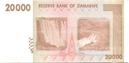 20000 долларов 2008 года Зимбабве