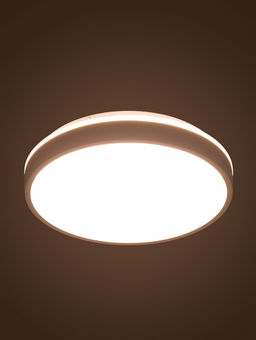 Люстра LED FZ601, 3000-6500К+RGB, 46 Вт, d=39 h=8 см, с ПДУ, белый