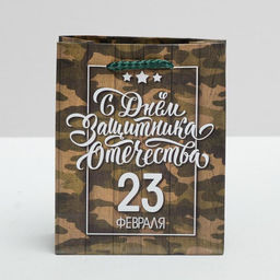 Цена за 3 шт. Пакет подарочный ламинированный, упаковка, «С 23 февраля», S 12×15×5.5 см