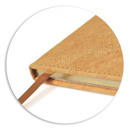 Дневник школьный арт. 50955 / 15 КОТ - Феникс+ фото 4