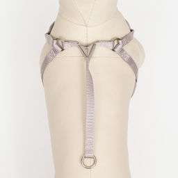 Комплект амуниции с мягкой шлейкой, поводок 120 х 1 см, ОГ 34-58 см, синяя клетка - Пижон фото 5