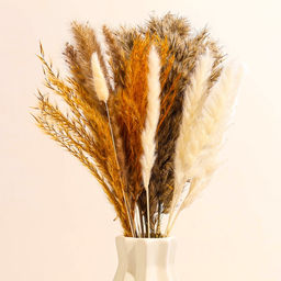 Сухоцветы «Изящность», набор из 5 видов, 48×16×6 см