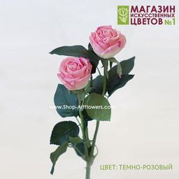 075 Роза двойная пионовидная - Без тм фото 3