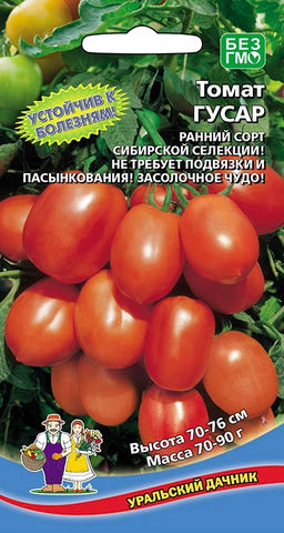 Томат ГУСАР Устойчив к болезням! Сибирская селекция! Не требует подвязки и пасынкования! Засолочное чудо!
