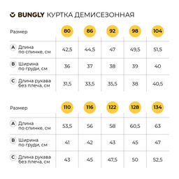 Куртка демисезонная "Слива"