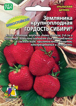 Земляника ГОРДОСТЬ СИБИРИ Крупноплодная!