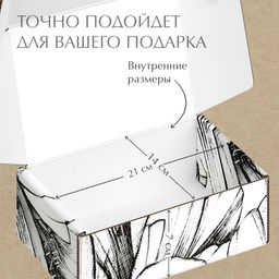 VAL CH-BC-GBb Подарочная коробка 26*26,5*10 см., 1шт. CHIC, шт - Valiant фото 13