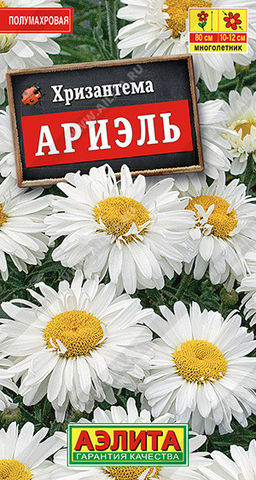 1847A Хризантема Ариэль 0,1гр