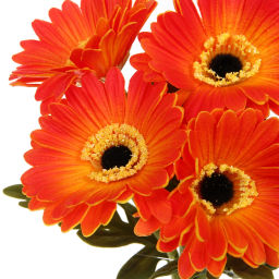 Цветы искусственные "Natur" 33см Герберы 7шт оранжевые