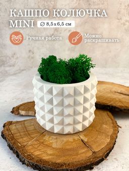 КАШПО КОЛЮЧКА MINI (8,5 х 6,5 см)