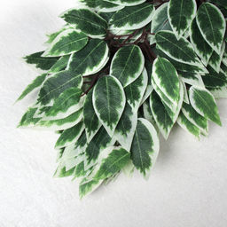 Искусственные листья 12 штук Фикус бело-зеленые / NA77-10 /уп 50/ - Галеонтрейд фото 4